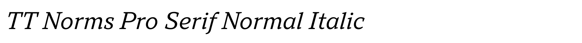 TT Norms Pro Serif Normal Italic image
